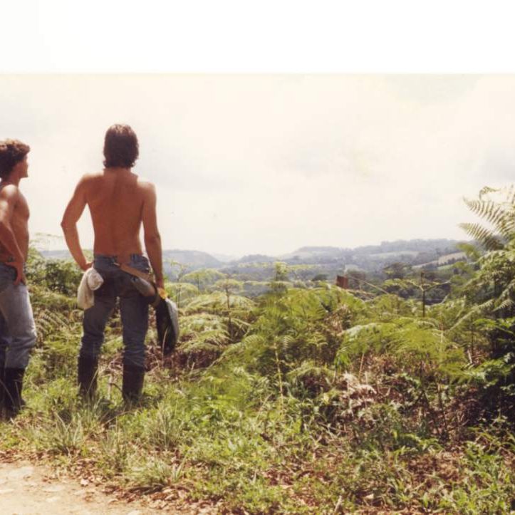 Costa Rica Monteverde Cloud Forest 1988